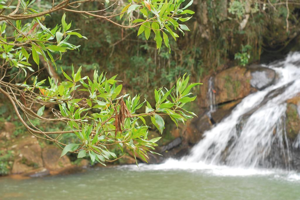 Pousada Estalagem Moeda Real Hotel Bagian luar foto